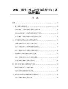 2026中國液體化工跨境物流便利化與通關創(chuàng)新報告
