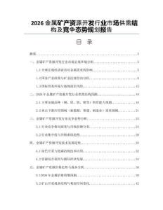 2026金屬礦產資源開發行業市場供需結構及競爭態勢規劃報告
