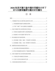 2026能源開發(fā)行業(yè)市場(chǎng)供需結(jié)構(gòu)分析了望與投資增值評(píng)估規(guī)劃研究報(bào)告