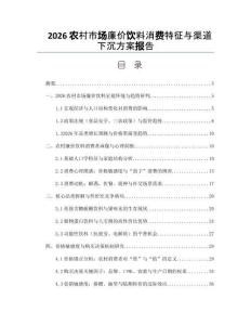 2026農(nóng)村市場廉價飲料消費特征與渠道下沉方案報告