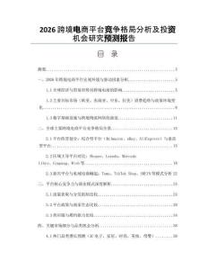 2026跨境电商平台竞争格局分析及投资机会研究预测报告