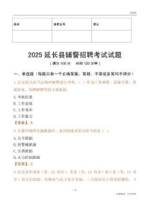 2025延長輔警試題
