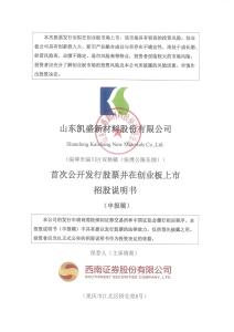 山东凯盛新材料股份有限公司招股说明书