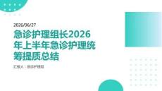 急診護理組長2026年上半年急診護理統籌提質總結