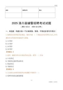 2025洛川輔警試題