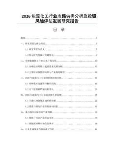 2026能源化工行業市場供需分析及投資風險評估發展研究報告