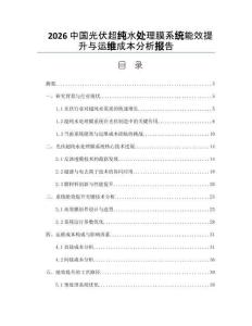2026中国光伏超纯水处理膜系统能效提升与运维成本分析报告