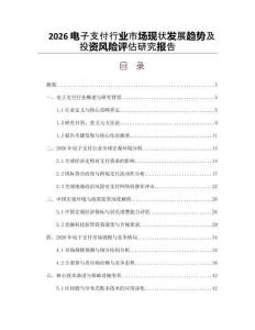 2026電子支付行業(yè)市場現(xiàn)狀發(fā)展趨勢及投資風(fēng)險評估研究報告
