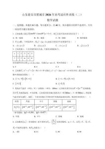 山東泰安市肥城市2026年高考適應性訓練（二） 數學試題（含解析）