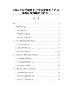 2026中国土壤修复行业政策驱动与治理技术路线选择研究报告