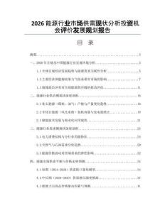 2026能源行業市場供需現狀分析投資機會評價發展規劃報告