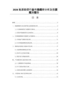 2026能源勘探行業(yè)市場調(diào)研分析及投資規(guī)劃報告