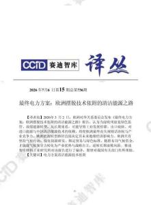 賽迪譯叢：最終電力方案：歐洲擺脫技術依附的清潔能源之路