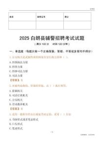 2025白朗輔警試題
