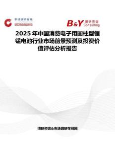 2025年中国消费电子用圆柱型锂锰电池行业市场前景预测及投资价值评估分析报告