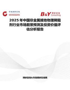 2025年中國非金屬接地物理降阻劑行業市場前景預測及投資價值評估分析報告