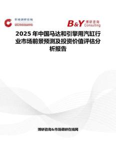 2025年中国马达和引擎用汽缸行业市场前景预测及投资价值评估分析报告