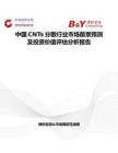 中國CNTs分散行業市場前景預測及投資價值評估分析報告