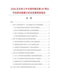 2026及未来5年中国玛钢注塑45°弯头市场现状数据分析及前景预测报告