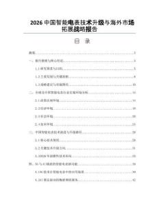 2026中國智能電表技術升級與海外市場拓展戰略報告