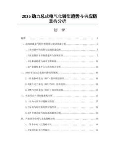 2026動力總成電氣化轉(zhuǎn)型趨勢與供應(yīng)鏈重構(gòu)分析