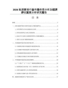 2026能源環境行業市場供需分析及經濟評估發展分析研究報告