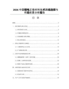 2026中國(guó)鋰電正極材料技術(shù)路線選擇與市場(chǎng)前景分析報(bào)告