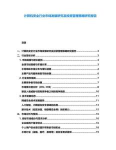 計算機安全行業(yè)市場發(fā)展研究及投資管理策略研究報告