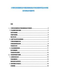 計算機(jī)系統(tǒng)服務(wù)及外圍設(shè)備制造業(yè)市場深度研究及未來規(guī)劃與商業(yè)價值研究