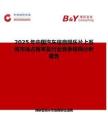 2025年中國汽車信息娛樂片上系統市場占有率及行業競爭格局分析報告