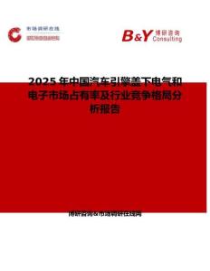 2025年中国汽车引擎盖下电气和电子市场占有率及行业竞争格局分析报告