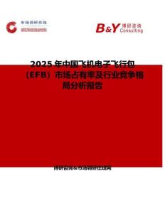 2025年中国飞机电子飞行包（EFB）市场占有率及行业竞争格局分析报告