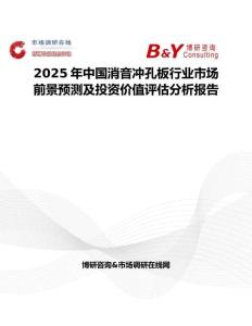 2025年中国消音冲孔板行业市场前景预测及投资价值评估分析报告