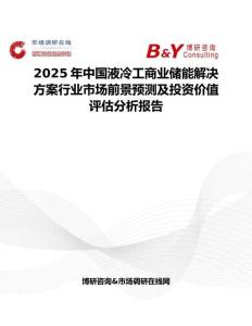 2025年中國液冷工商業(yè)儲能解決方案行業(yè)市場前景預測及投資價值評估分析報告