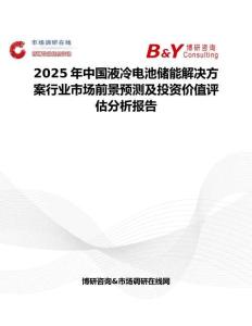 2025年中國液冷電池儲能解決方案行業(yè)市場前景預測及投資價值評估分析報告