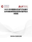 2025年中国液化石油气汽化器行业市场前景预测及投资价值评估分析报告