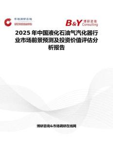 2025年中國液化石油氣汽化器行業市場前景預測及投資價值評估分析報告