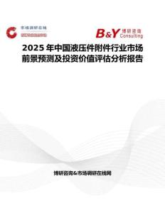 2025年中國液壓件附件行業市場前景預測及投資價值評估分析報告
