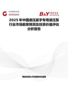 2025年中國液壓扳手專用液壓泵行業(yè)市場前景預(yù)測及投資價(jià)值評(píng)估分析報(bào)告