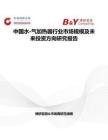 中國水-氣加熱器行業市場規模及未來投資方向研究報告