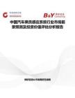 中国汽车乘员感应系统行业市场前景预测及投资价值评估分析报告