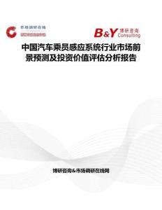 中國汽車乘員感應(yīng)系統(tǒng)行業(yè)市場前景預(yù)測及投資價(jià)值評(píng)估分析報(bào)告