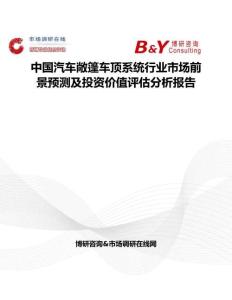 中國汽車敞篷車頂系統行業市場前景預測及投資價值評估分析報告