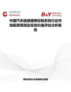 中國汽車陡坡緩降控制系統行業市場前景預測及投資價值評估分析報告