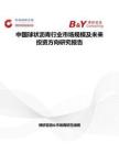 中国球状沥青行业市场规模及未来投资方向研究报告
