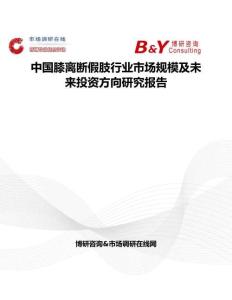 中国膝离断假肢行业市场规模及未来投资方向研究报告