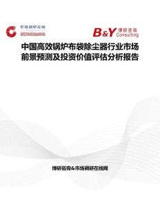 中国高效锅炉布袋除尘器行业市场前景预测及投资价值评估分析报告