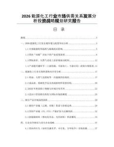 2026能源化工行業市場供需關系發展分析投資戰略規劃研究報告