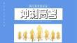 高中班會 沖刺高考--高三高考--家長會 課件