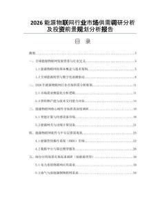 2026能源物聯網行業市場供需調研分析及投資前景規劃分析報告
